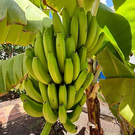 Privado En Bahía Feliz *